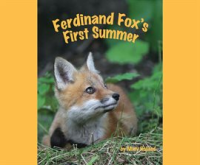 Ferdinand_Fox_s_First_Summer